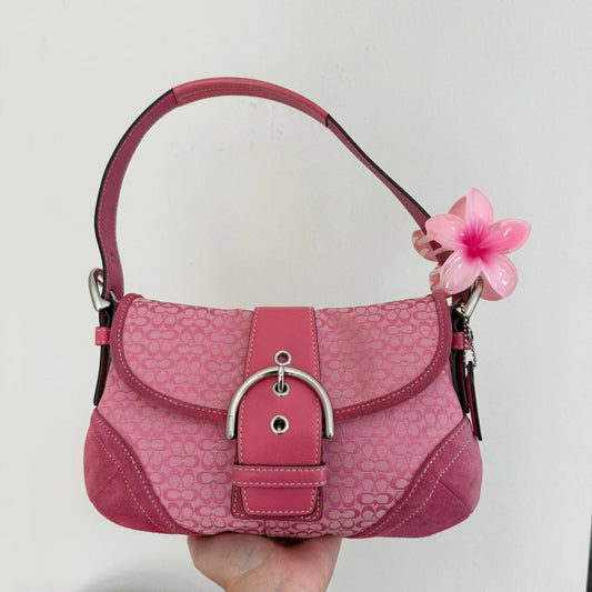 Vintage Coach